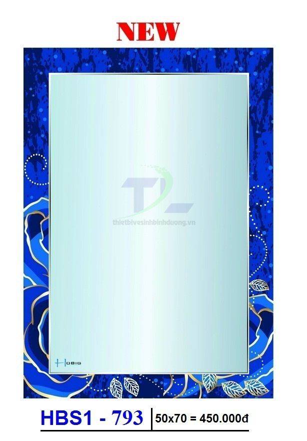 Gương soi phòng tắm HOBIG HBS1-793